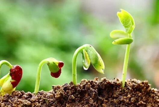 土壤成分分析仪助力农业生产节本增效