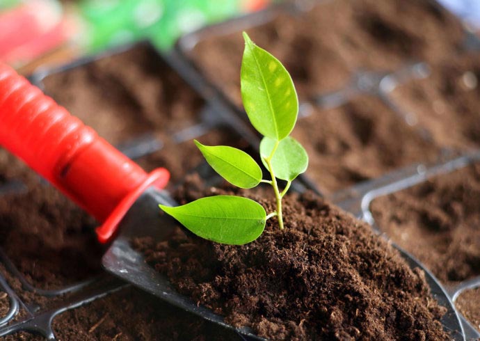 土壤养分速测仪保护农业生态持续发展
