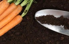 如何利用土壤肥料养分速测仪实现精准施肥？