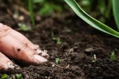 土壤养分速测仪规避土壤污染问题